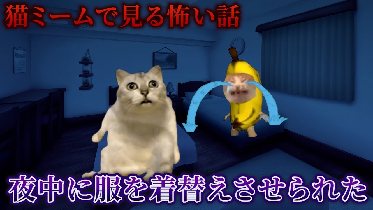 【猫ミーム】×【怖い話】夜中に服を着替えさせられた　#猫マニ
