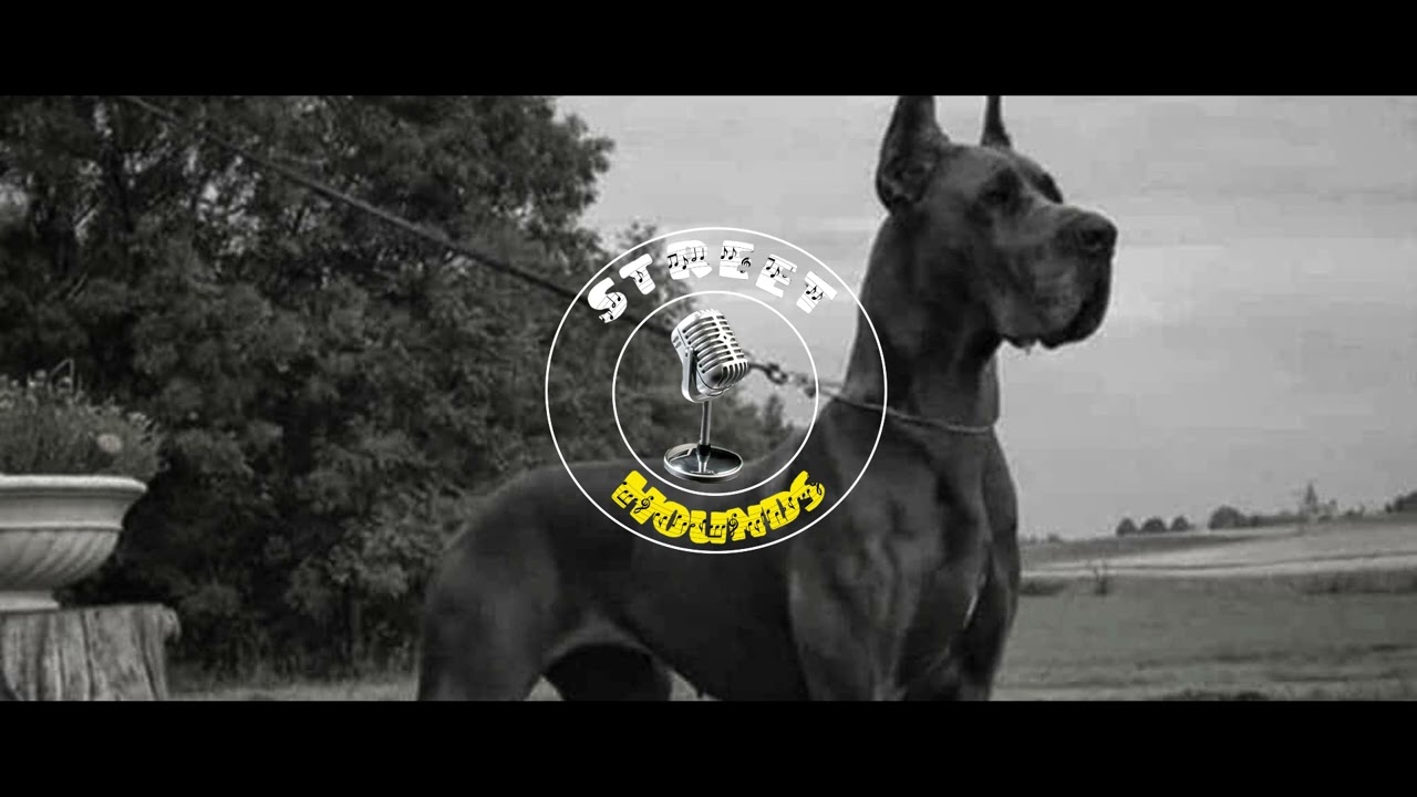 Beat Instrumental Base de Trap - 