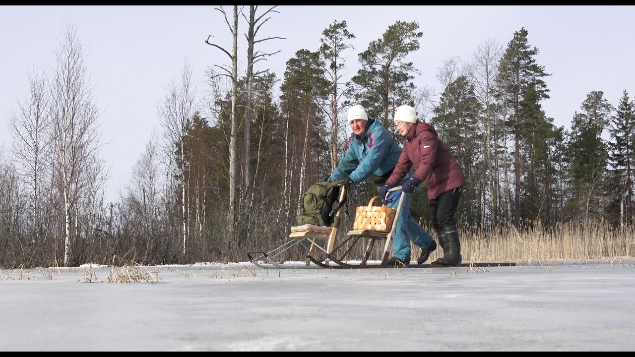 3. 3 -  21 Koskeljärvi Eura Honkilahti