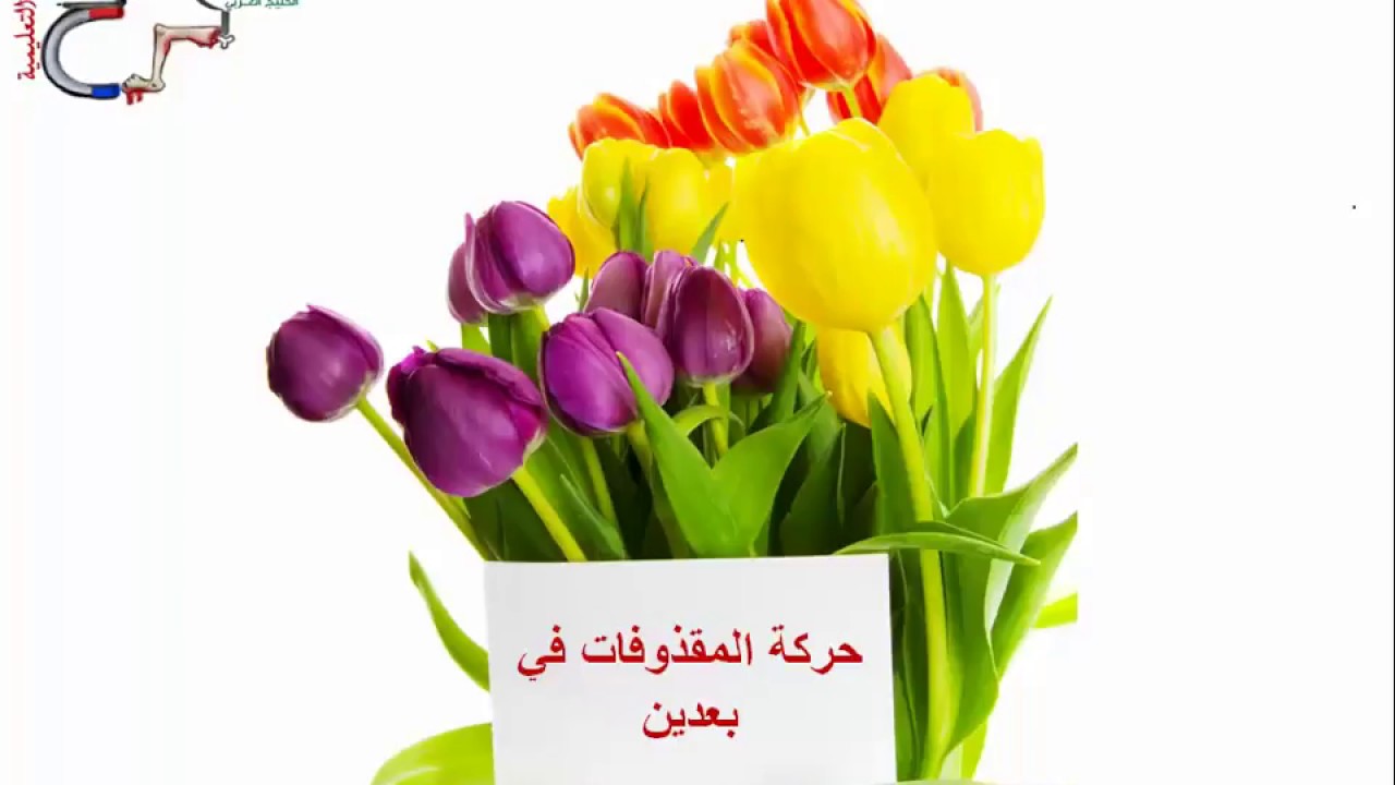 محاضرة الفيزياء الخامسة ج1 :  المقذوفات بزاوية ج (1)