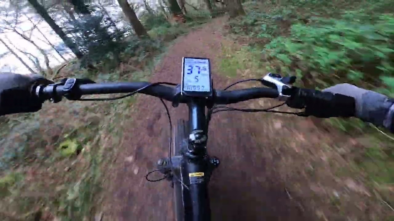 Mx03 Electric MTB - Riding Forest Trails