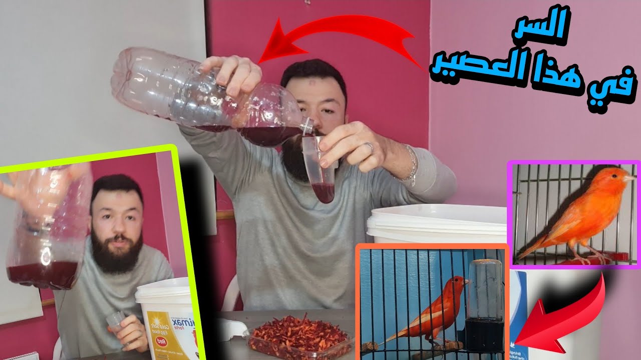 كيف تحصل ع لون احمر قاتم 💥صبغة طبيعية💥 بمكونين فقط البديل عن الصبغات الكيماوية وفر نقودك💸