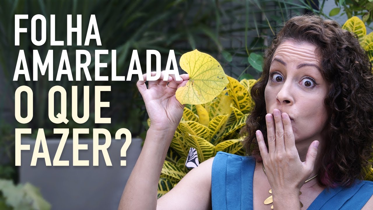 FOLHAS AMARELADAS: saiba COMO RESOLVER