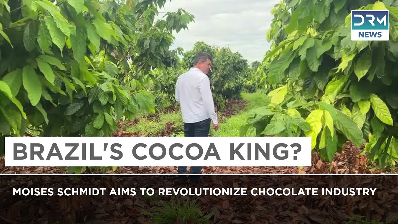 World&rsquo;s Largest Cocoa Farm? Brazil&rsquo;s Moises Schmidt Breaks the Mold | DRM News | AL14