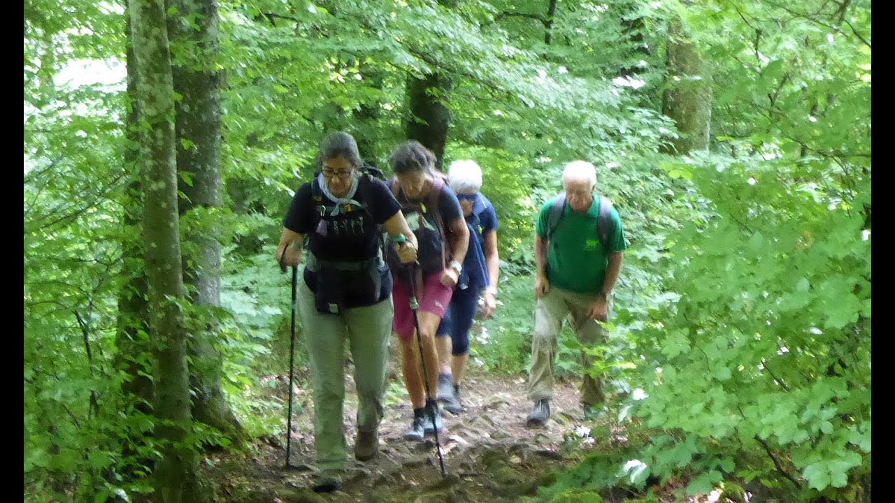 Wildegg - Gisliflue - Staffelegg (AG) / 09.07.25