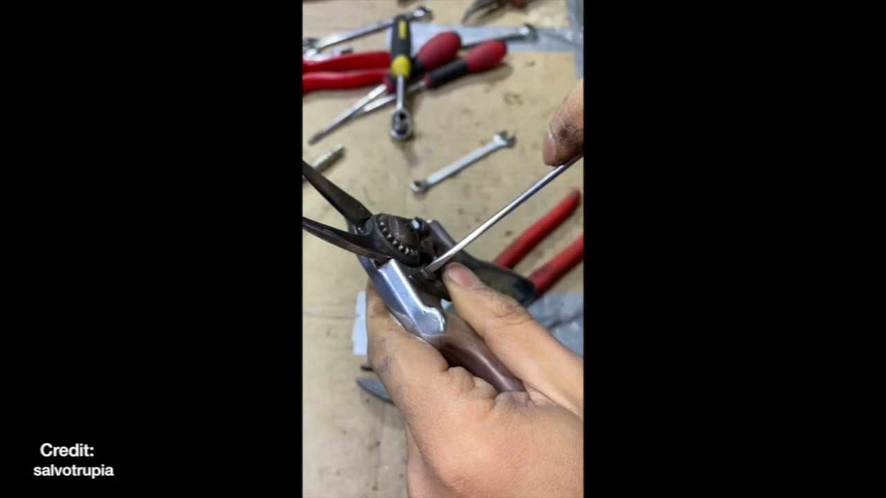 Assembly of FELCO 6 Swiss Pruning Shears After Restoration