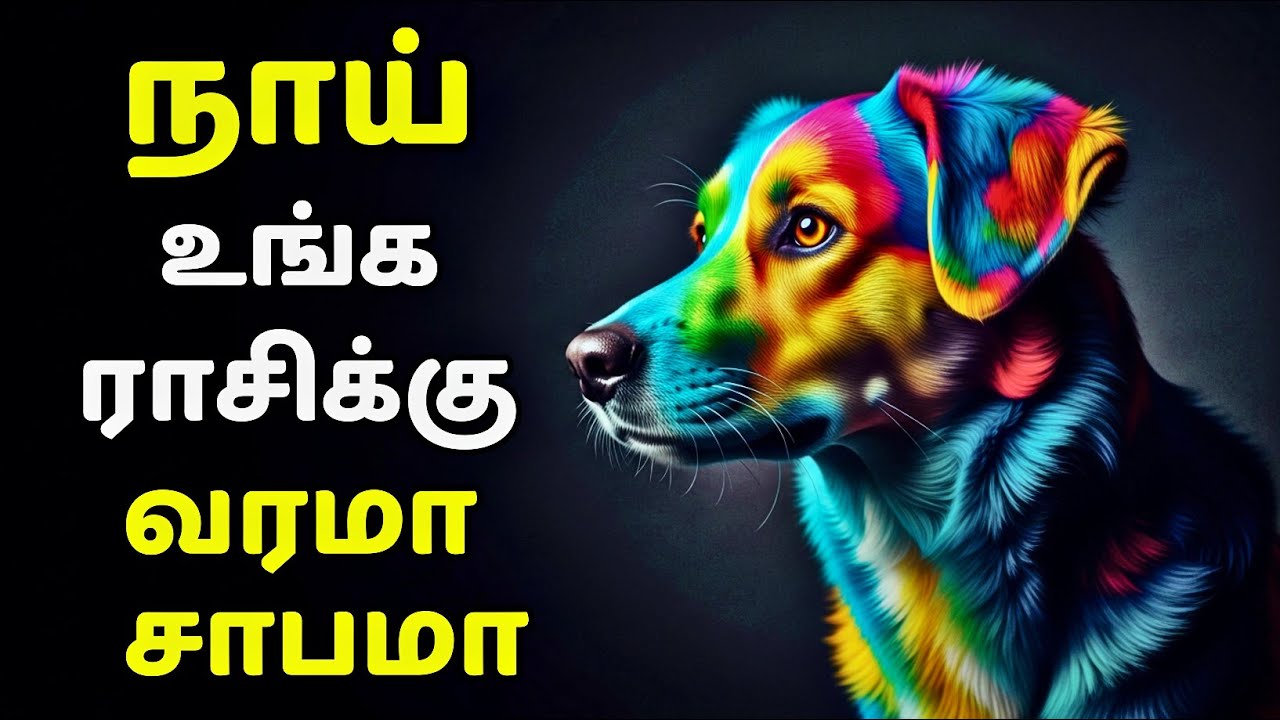 யார் வீட்டில் நாய் இருக்கும் | வீட்டில் நாய் வளர்த்தால் என்ன பலன்