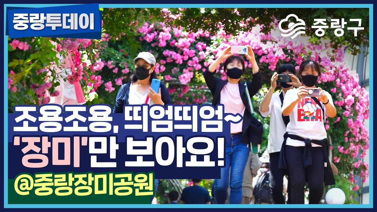 향기에 취해 중랑장미길을 걷고있는 그대여~ 마스크착용, 거리두기는 필수!😷🌹🌹😷ROS&Eacute; 아름다운 장미