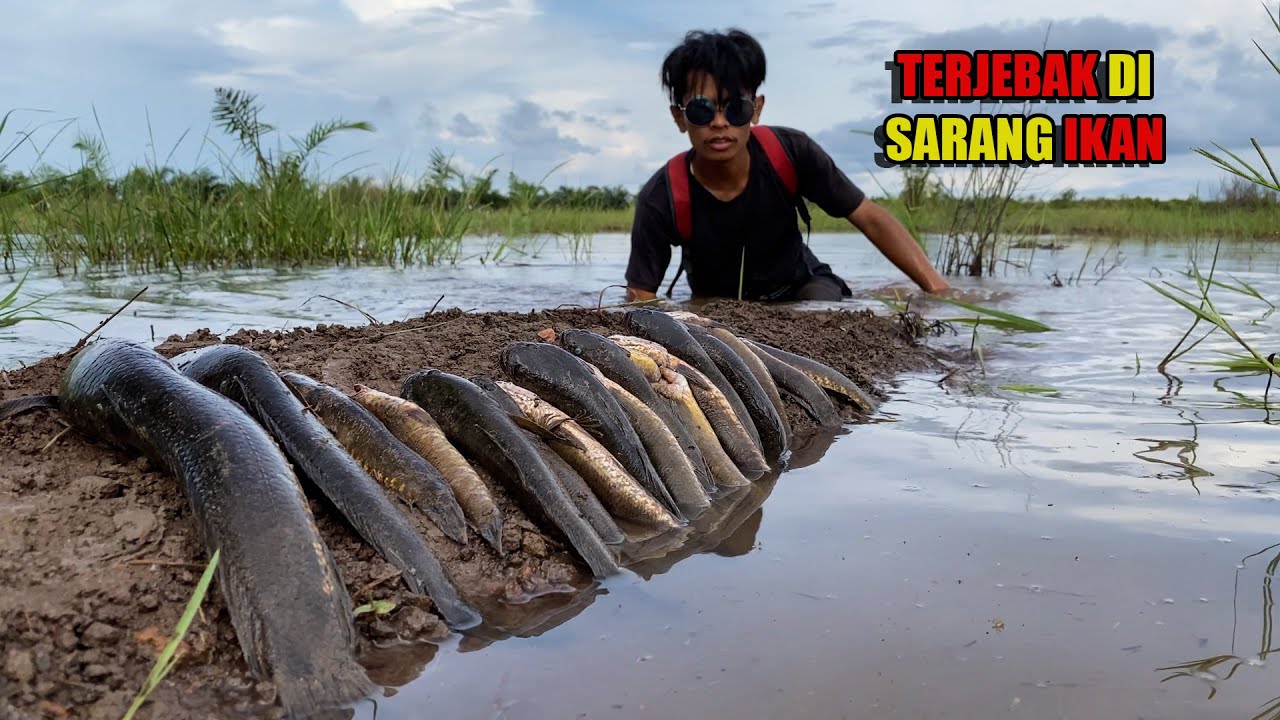 5 HARI BERBURU IKAN, LEBAH MADU, BUAH DI ALAM KALIMANTAN & TERJEBAK DI SARANG IKAN😅 #bocahpecicilan