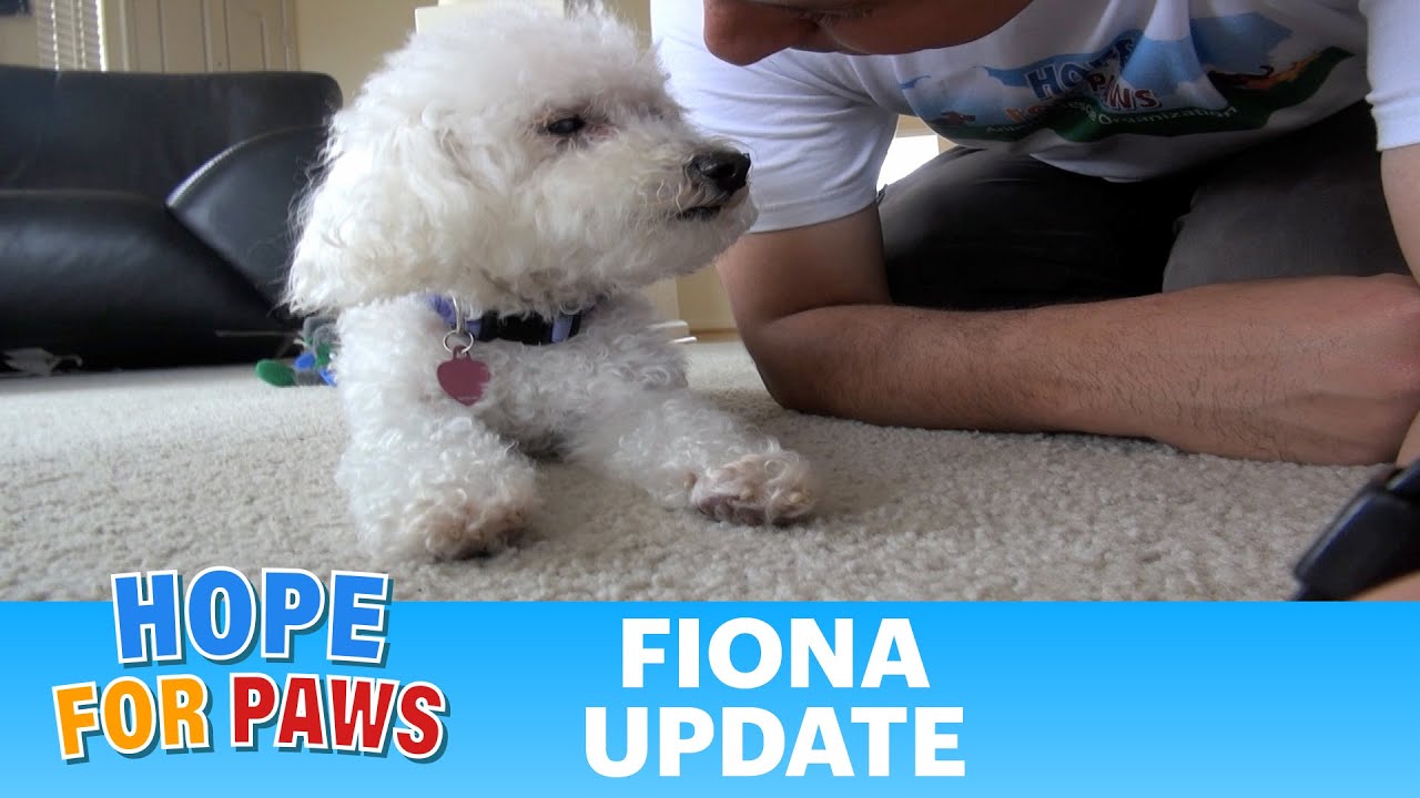 Fiona can see now!!! Please share her amazing follow-up video.  Thanks  :-) #epic