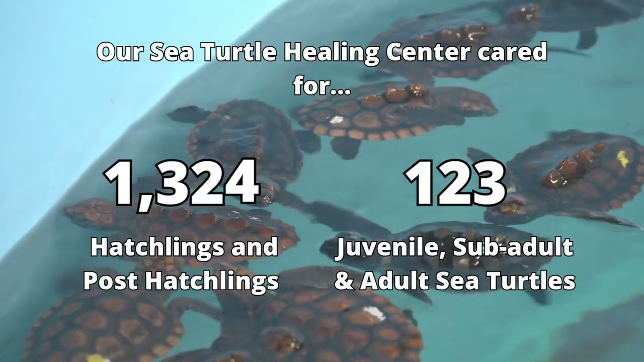 Reflecting on East Coast Zoological Foundation's 2025