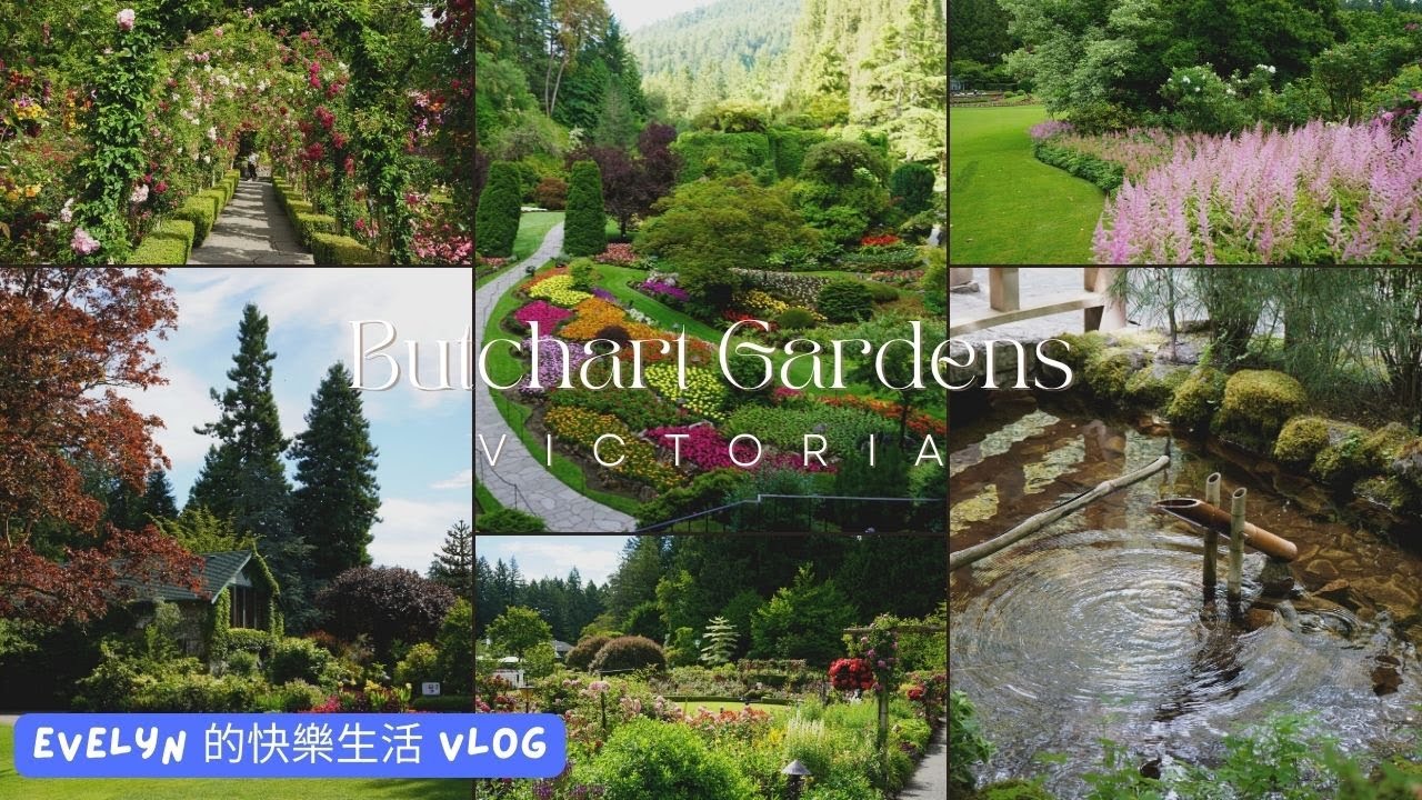 布查花園 (2023) | 布查德花園 | The Butchart Gardens | 維多利亞旅遊 | Victoria | 溫哥華後花園 | 布查特花园 | 擁有世界最美花園美譽
