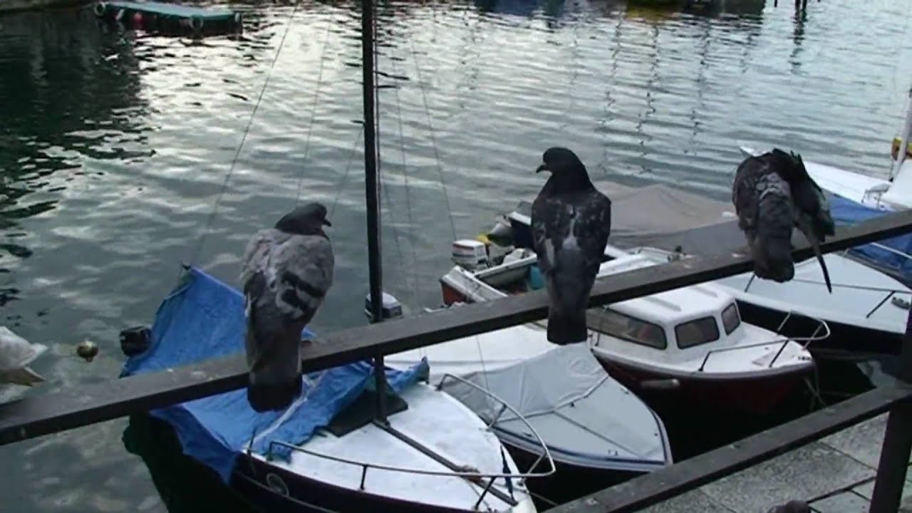 #Italie la station de #Pallanza lac Majeur