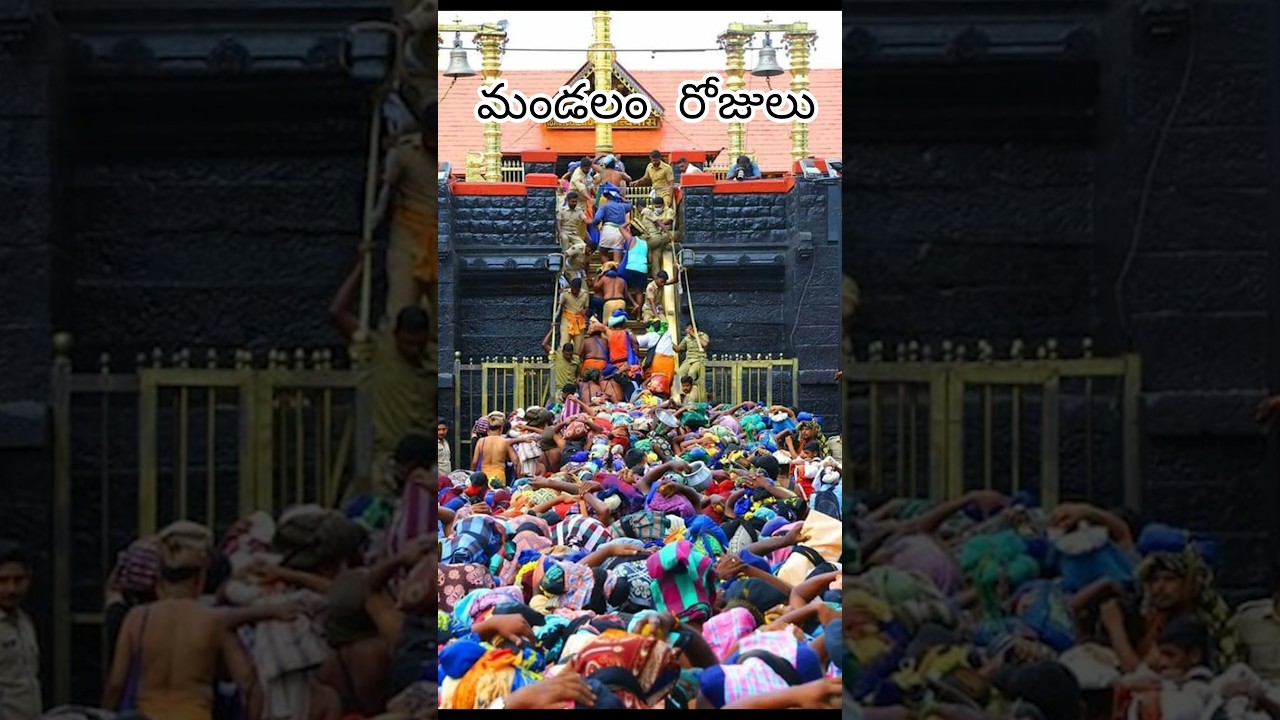 41 రోజులు దీక్ష. | #facts #sabarimalaayyappan #sabarimala #ayyappa #varaana #shorts