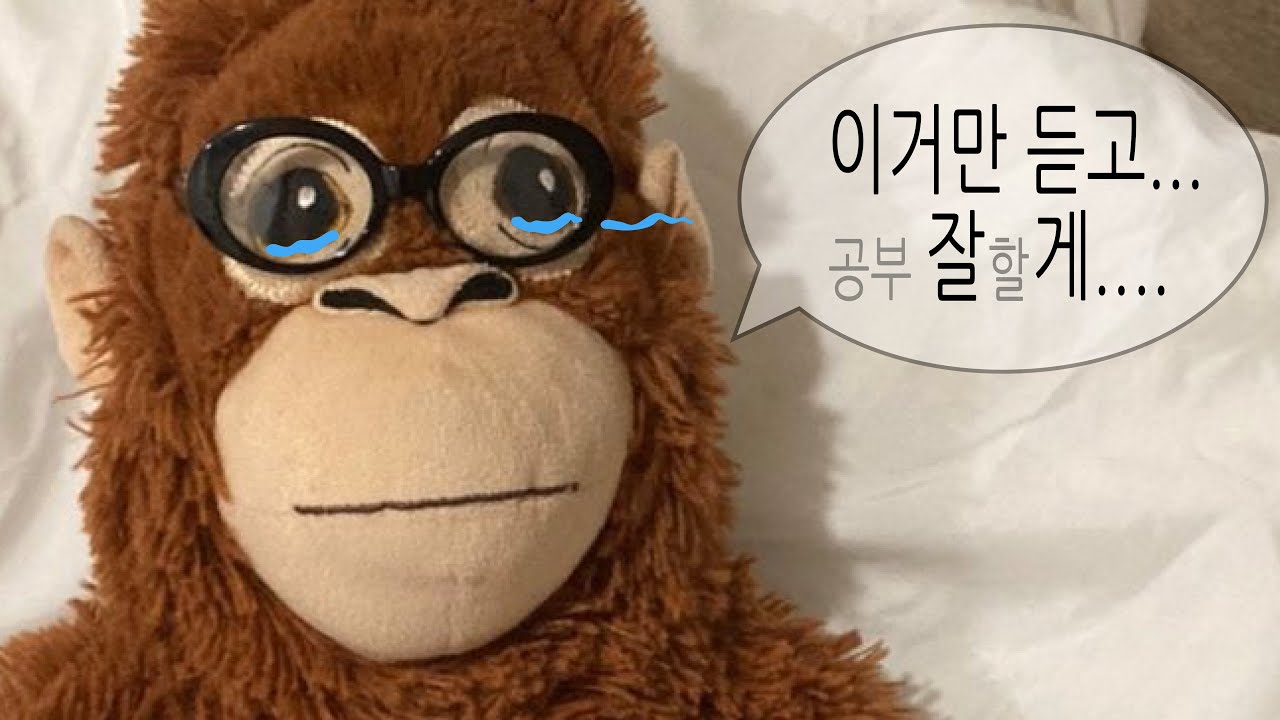 Playlist 시험 기간에 듣기 좋은 찬양 플레이리스트 