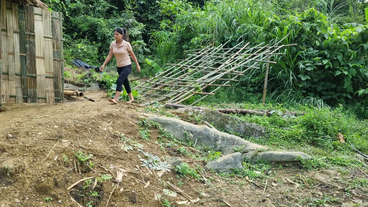 The 17-year-old girl is the mother of two children | Harvesting papaya to sell to raise children