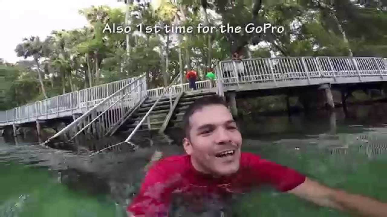How Cold is the water at Blue Spring State Park Florida? Real Reactions to the cold water!