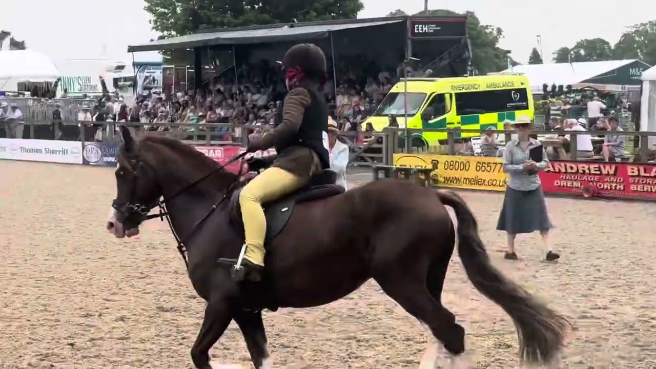 Royal Highland Show 2025 - Junior M&M WHP