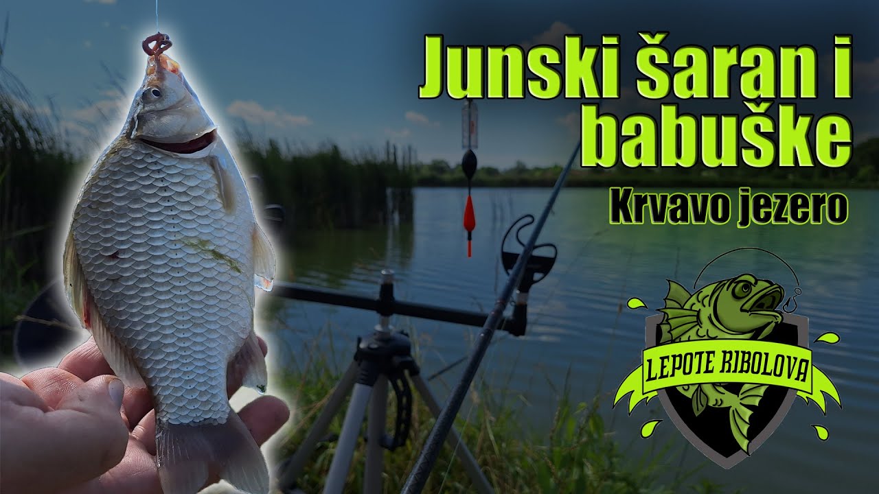 Pecanje šarana i babuške - prvojunski izlazak | Krvavo jezero | Lepote Ribolova ep. 40
