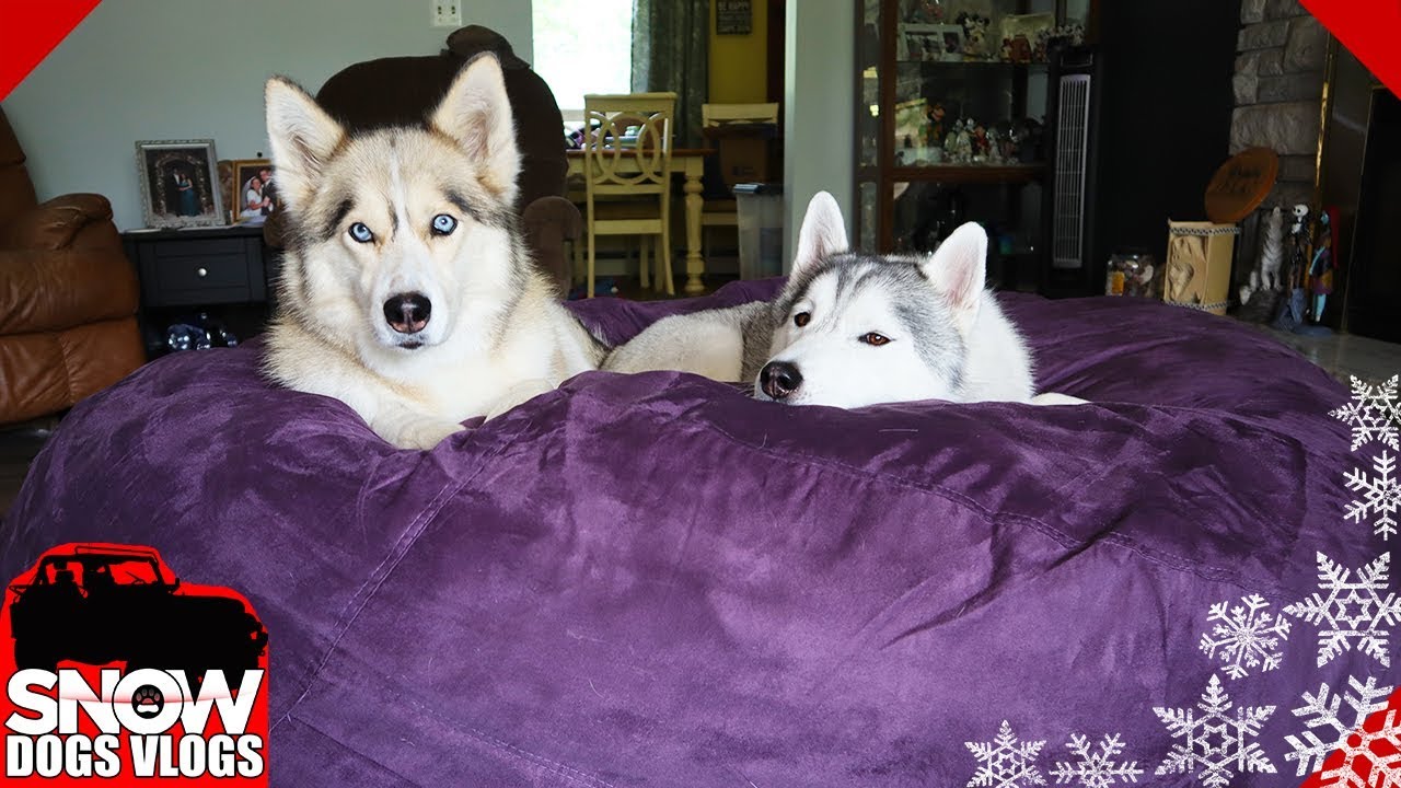 Biggest Snuggle Chair Ever!