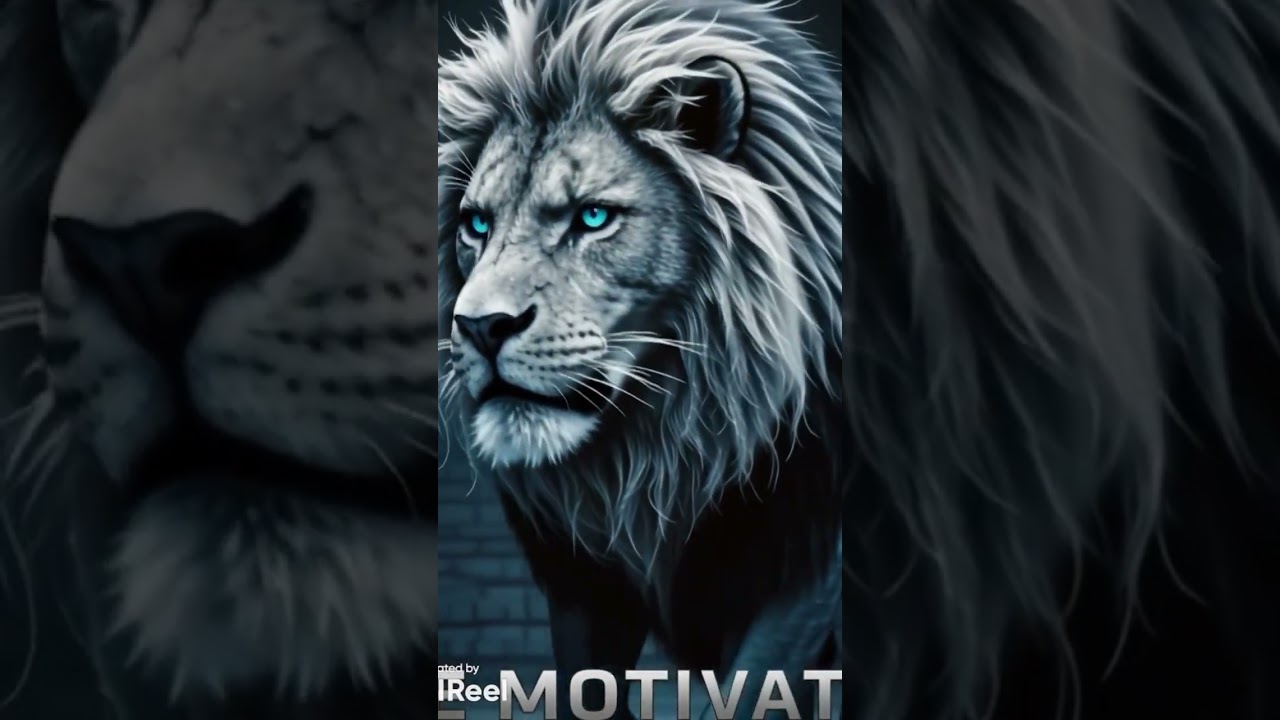 Discipline Is Identity — Become Unstoppable 