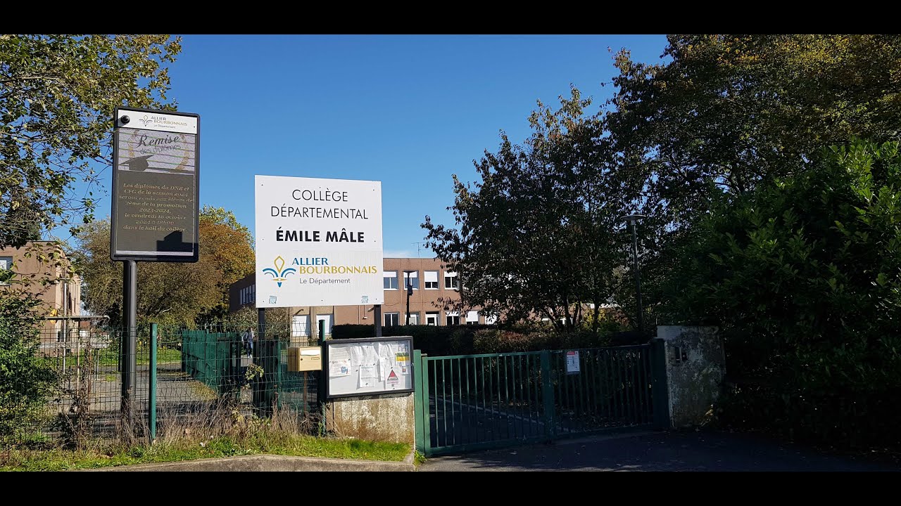 L'effet de masse CLG Emile Mâle