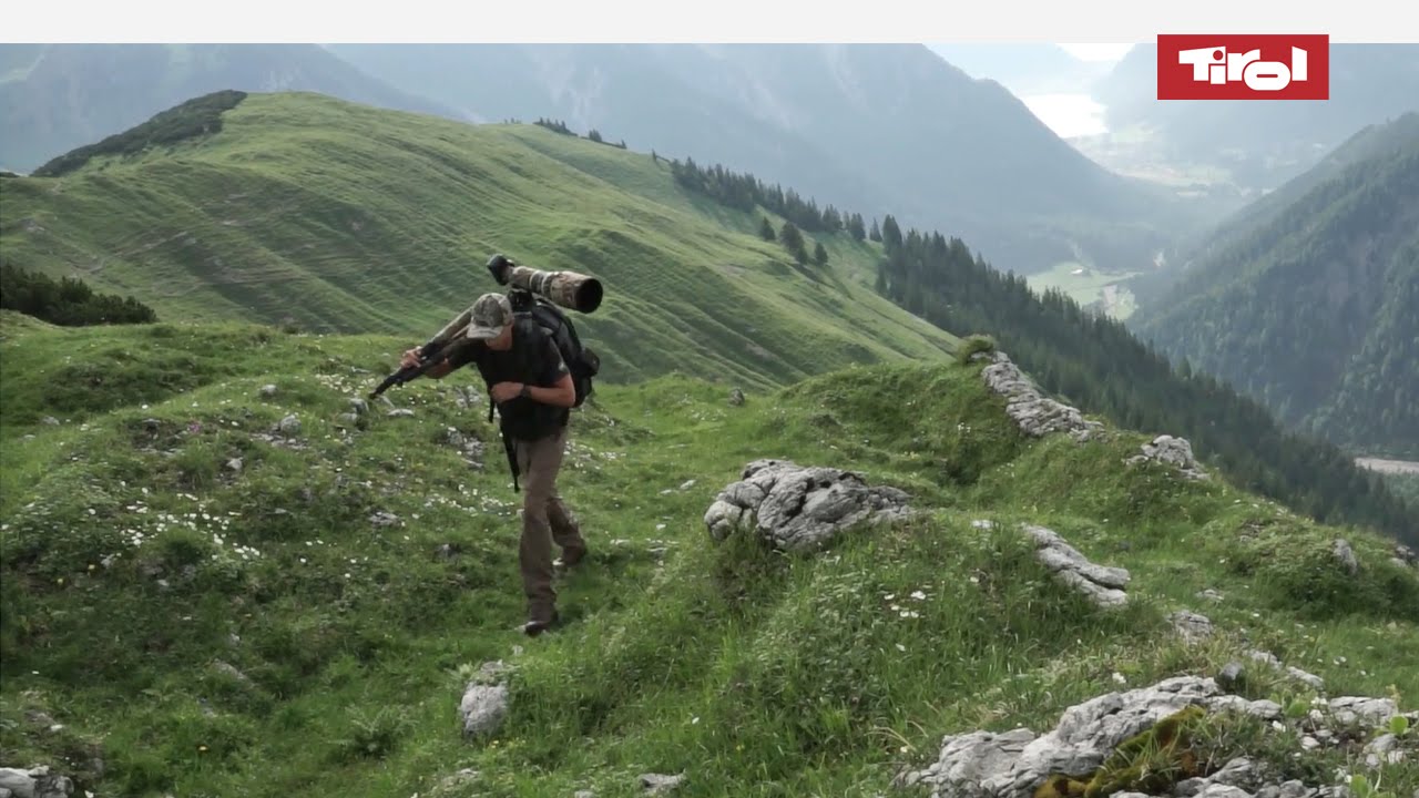 Wildtierfotografie – Tiere fotografieren mit Fabio Hain 🦌