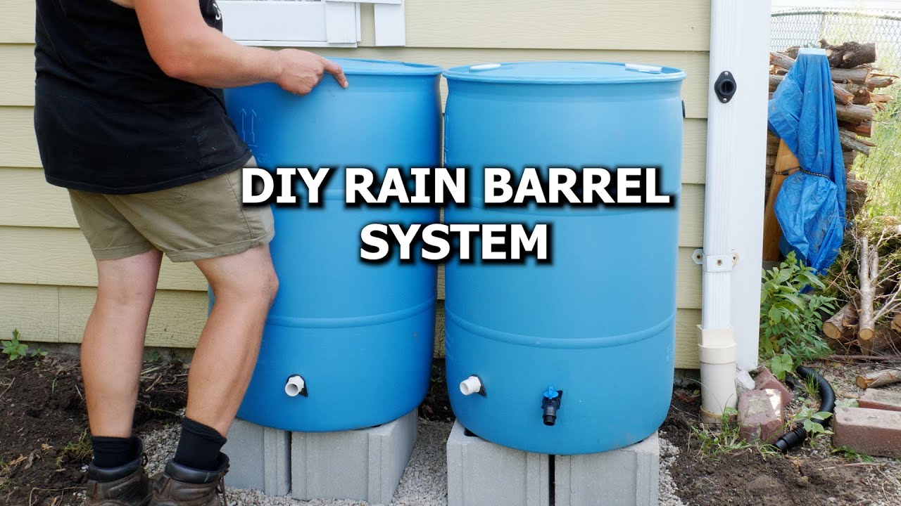 Build Your Own Rain Barrel System: The Ultimate Water-Saving Hack