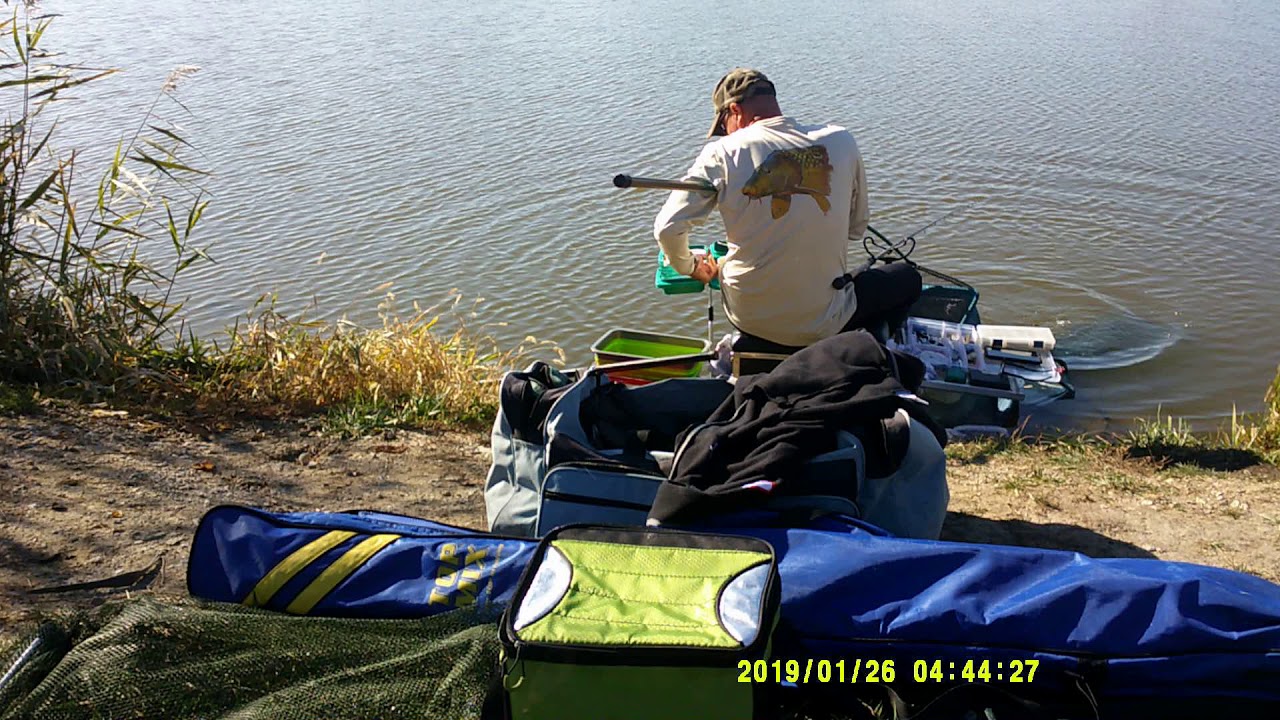 Ontario Coarse Fishing Sun Nov 8 2020 Big Creek