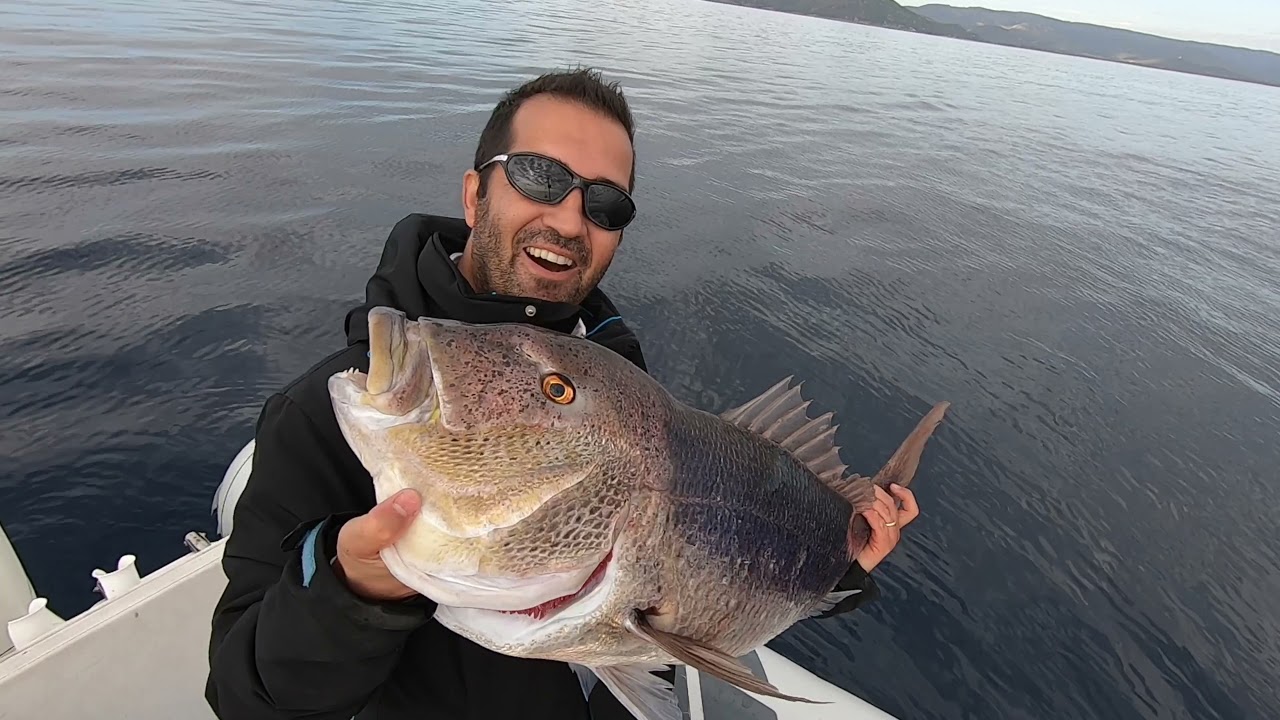Slow jigging & Black Minnow... un pesce da record!!! 12 Kili di Dentice