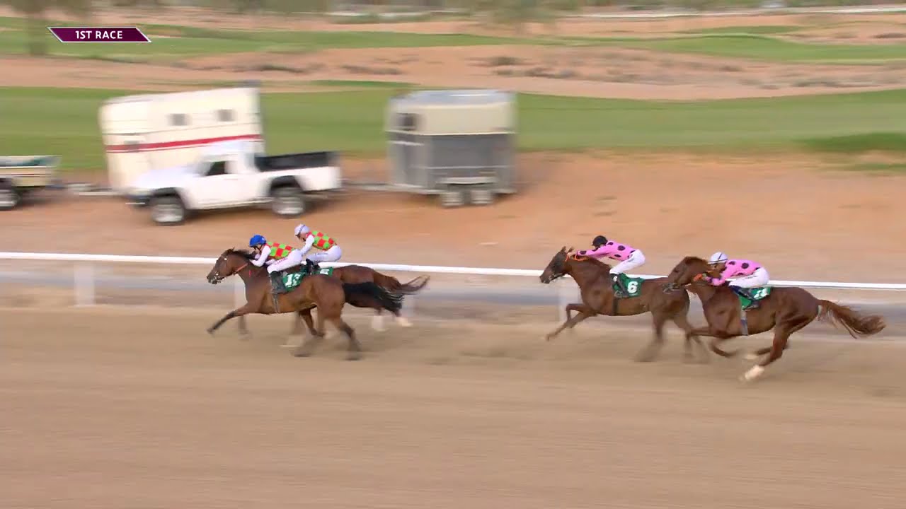 Al Ain 240126 Race 1
