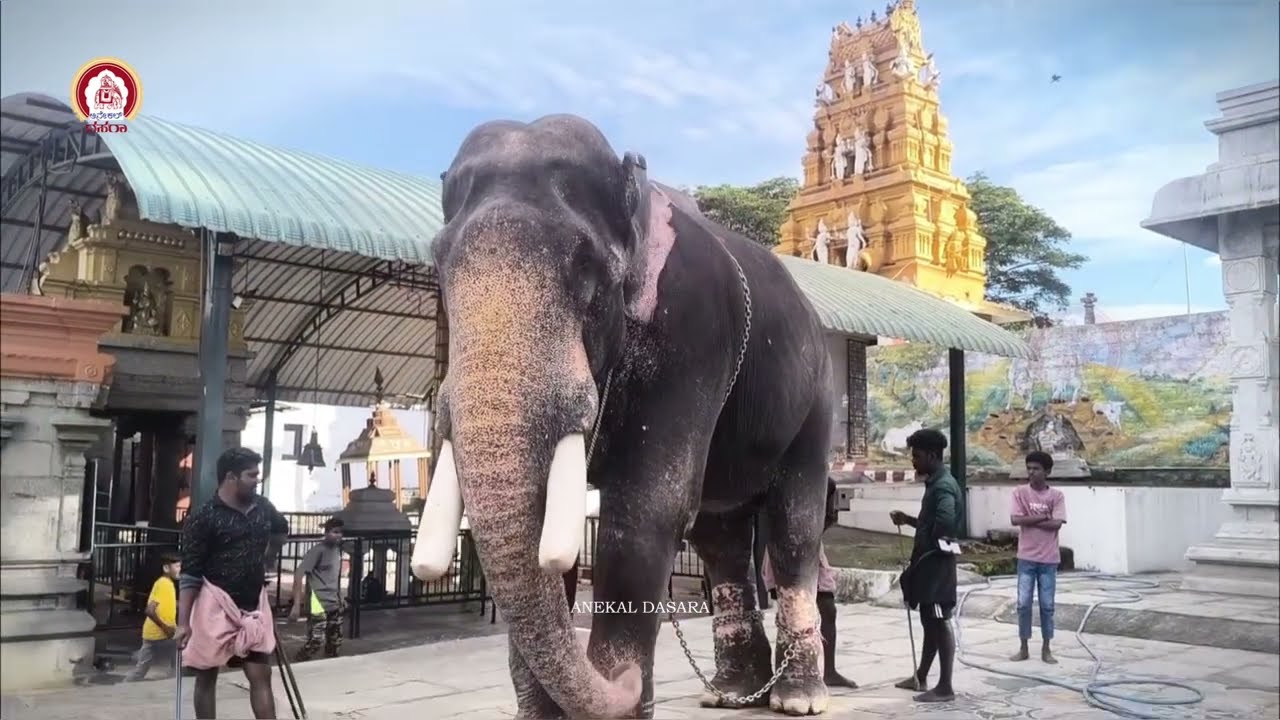 Anekal Dasara Utsava 2025