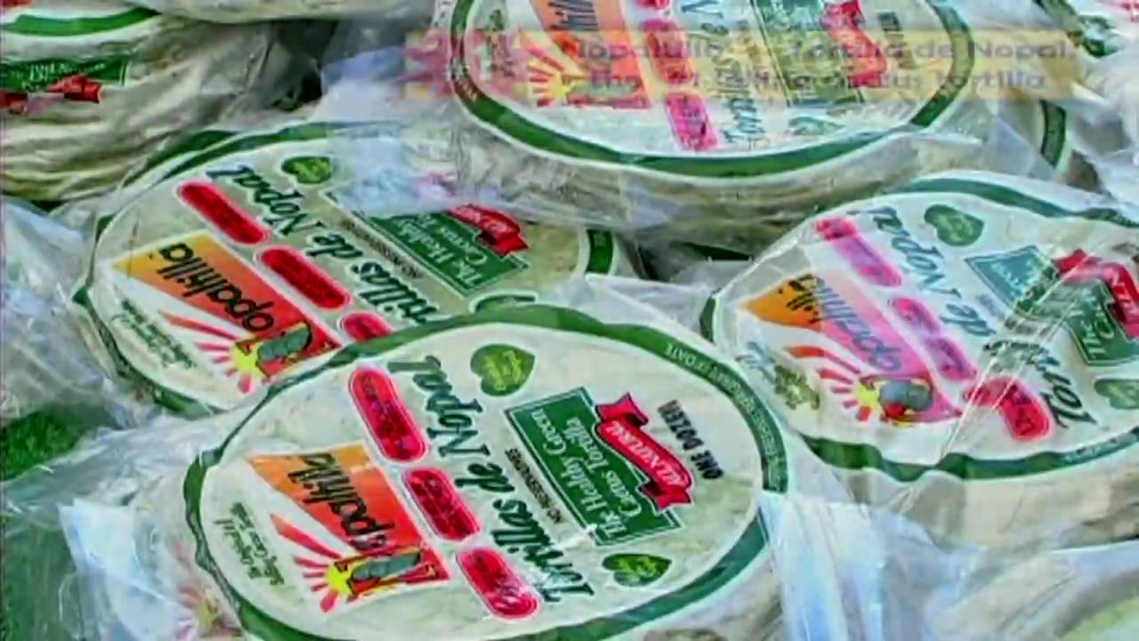 Cactus Tortilla 100% Nopal