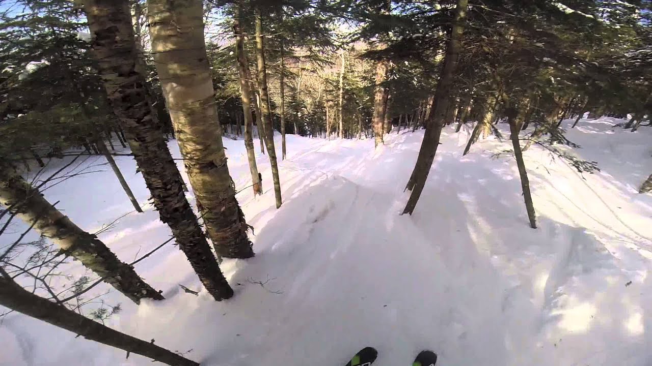 Cannon Mountain Amazon Glade