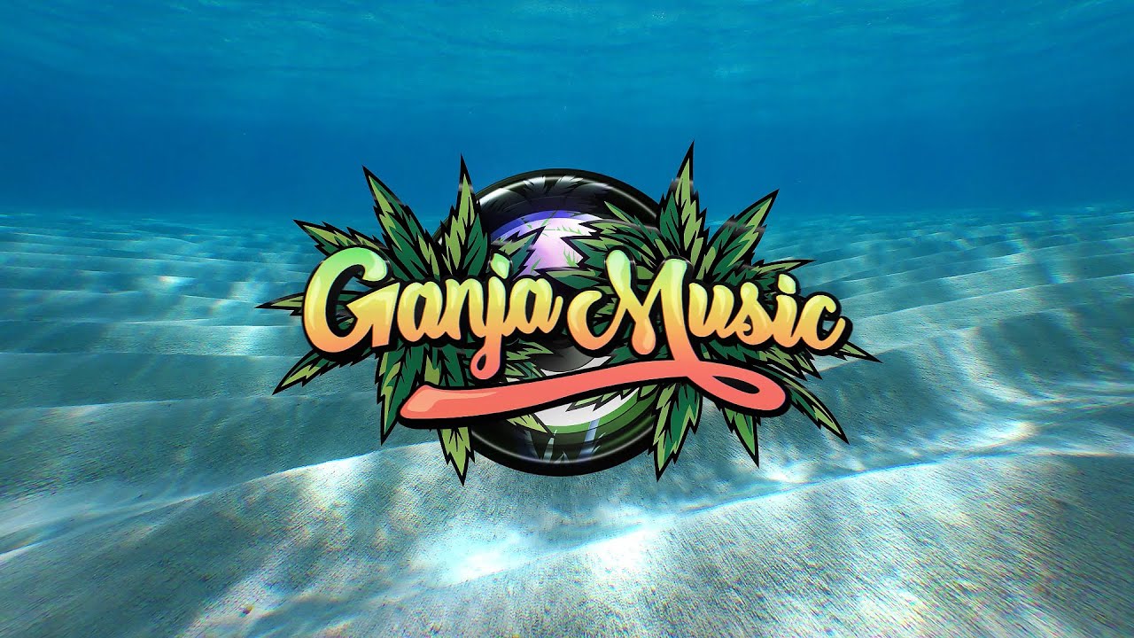 Shaggy & Rayvon - In The Summertime (TNI x BRAKS Remix ft. JPOD)