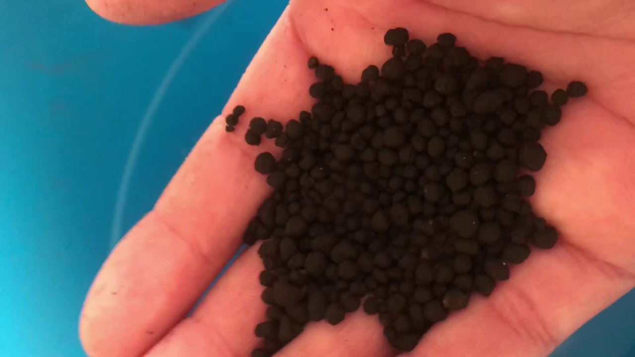 Fluval *Stratum* Review