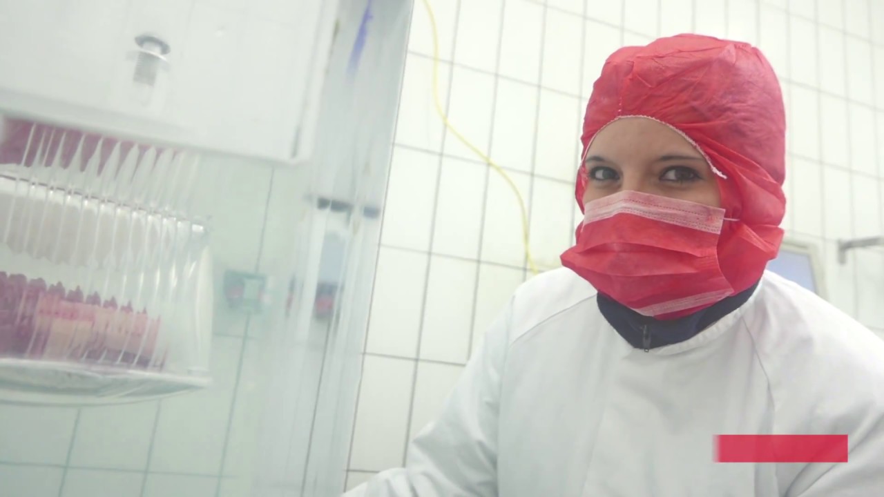 Работа в Чехии. Мясокомбинат KAUFLAND +380631633603
