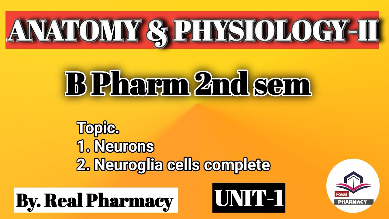 Neurons And Neuroglia HAP-II B Pharma 2nd Semester By Real Pharmacy || B Pharma 