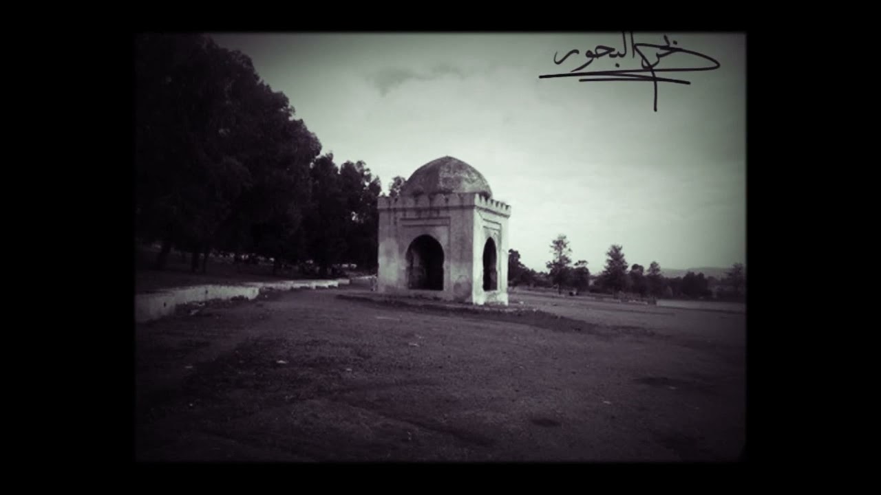 مالد الخمر دني