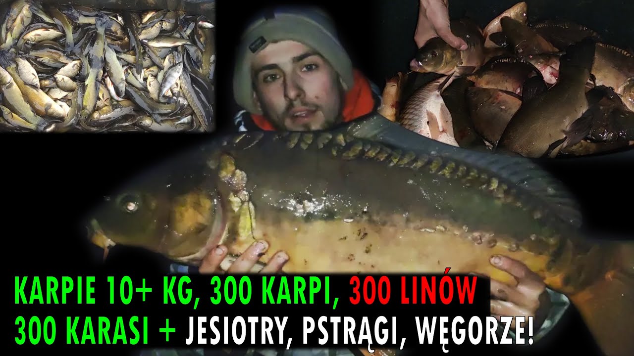 ZARYBIENIA NOWEGO STAWU - PRZYGOTOWANIE I OTWARCIE ŁOWISKA  