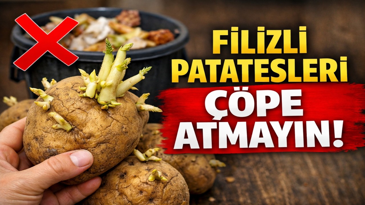 Patatesleriniz filizlendi mi? SAKIN ÇÖPE ATMAYIN! Bu eski usul yöntem onu tam bir servete dönüştüre