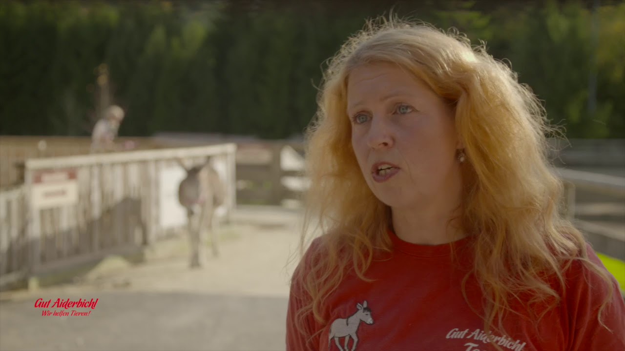 Rettung in letzter Sekunde: Eselin Olympe