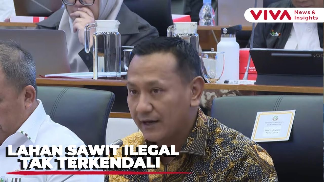 PERINGATAN! Lahan Sawit Ilegal Capai 4 Juta Hektar