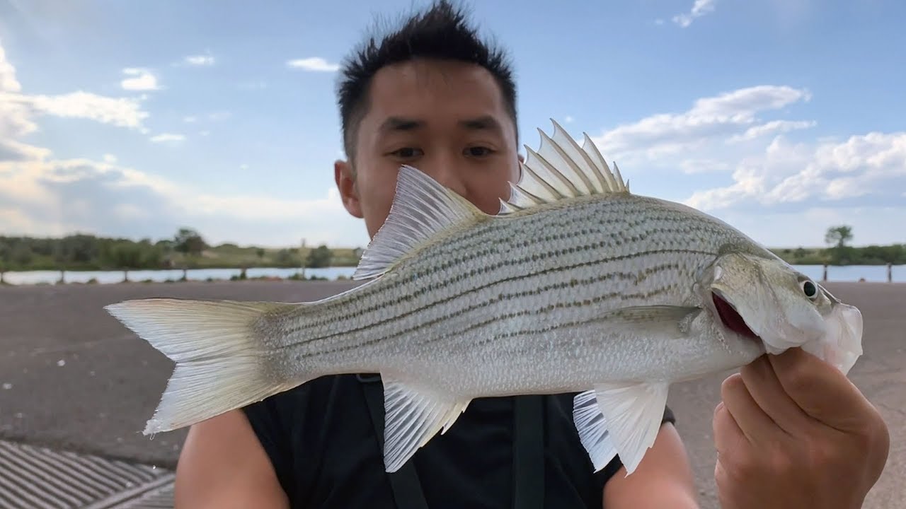 Giving them what they wanted most, Wiper, Drum, Jackson lake state park