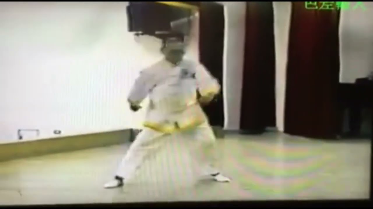 柔拳武術 一代宗師 童金龍   宗鶴拳  長肢  雙蝶  完整版