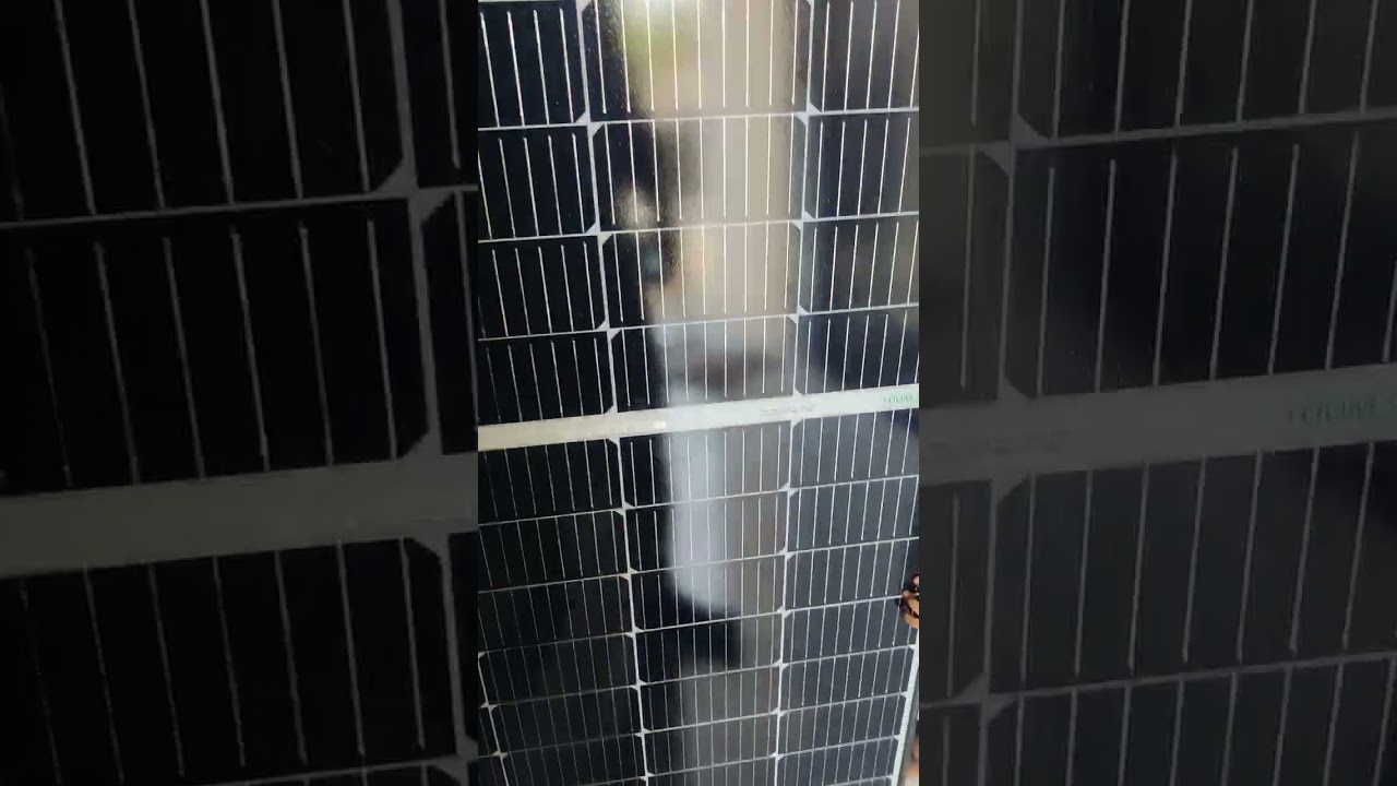 LOOM SOLAR 225 WATT #solar  #solarenergy #solarsystem #loomsolar