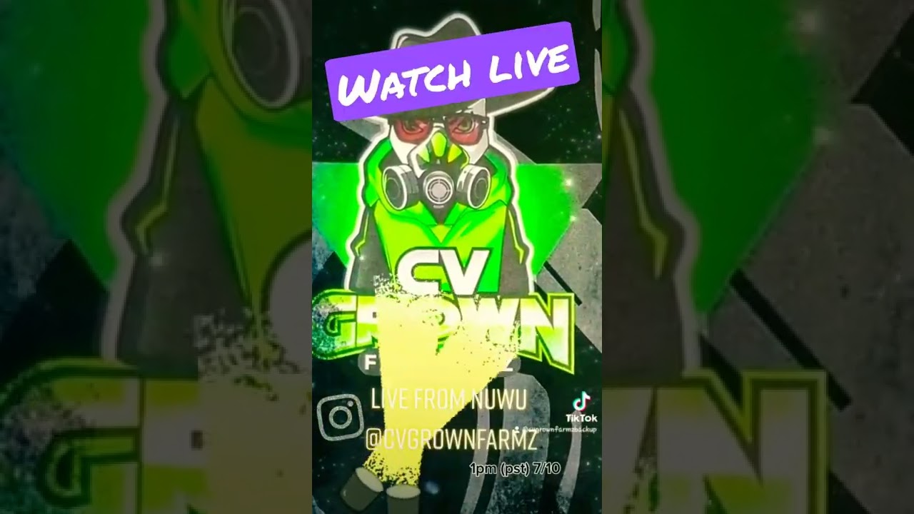 Big Reveal: Whos EdDog?