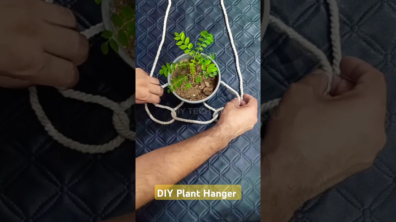 How to Hang Pots using Rope | DIY Hanging Planter Tips | Jar Sling Idea #shorts #plants #diy