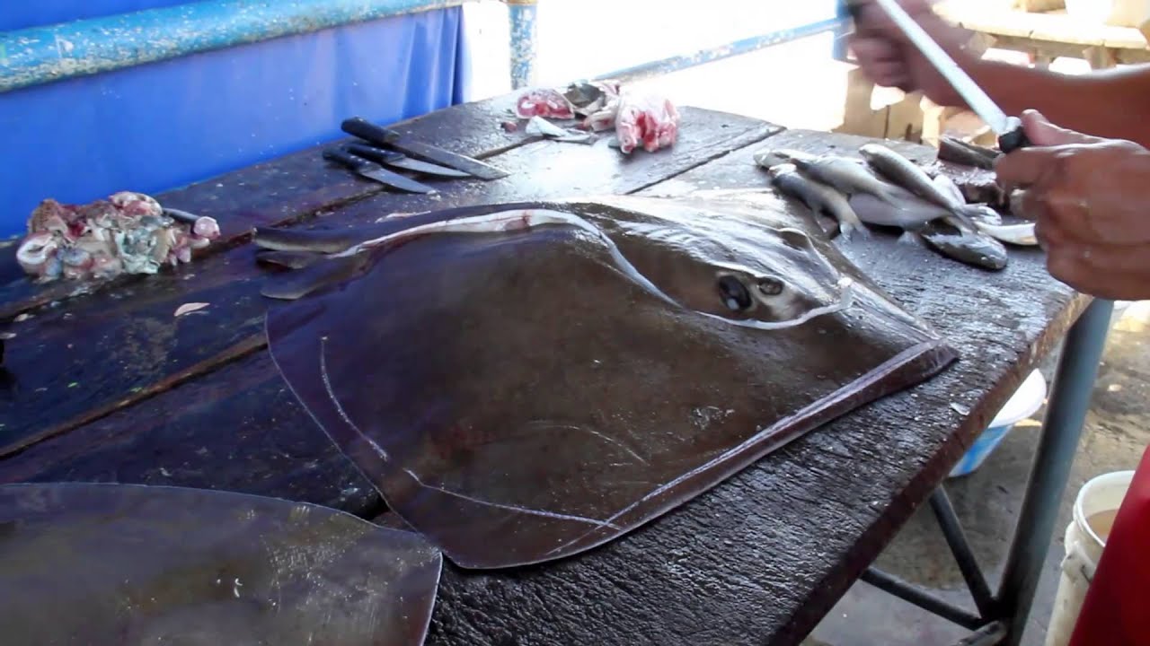 Raya o Mantarraya gran alimento pescado sin espinas