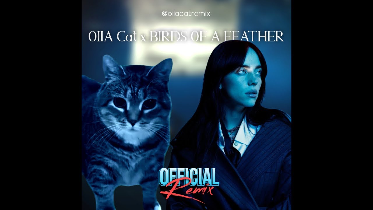 OIIA Cat x BIRDS OF A FEATHER | Billie Eilish (Official Remix)